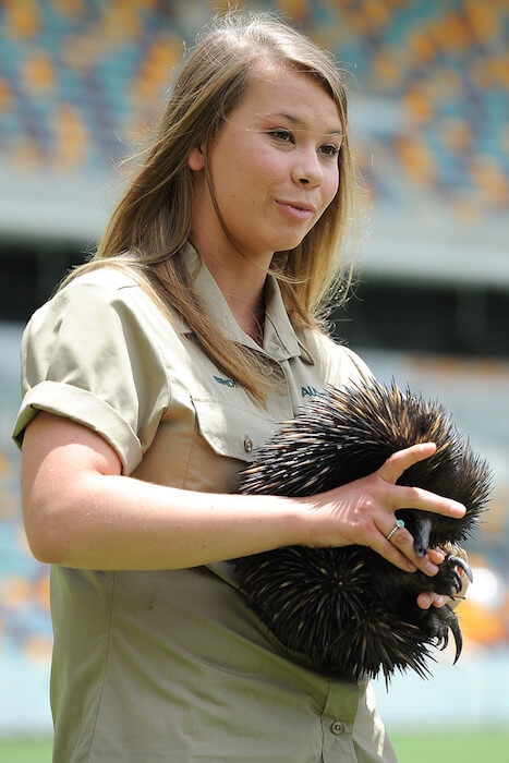 Bindi Irwin Height and Weight