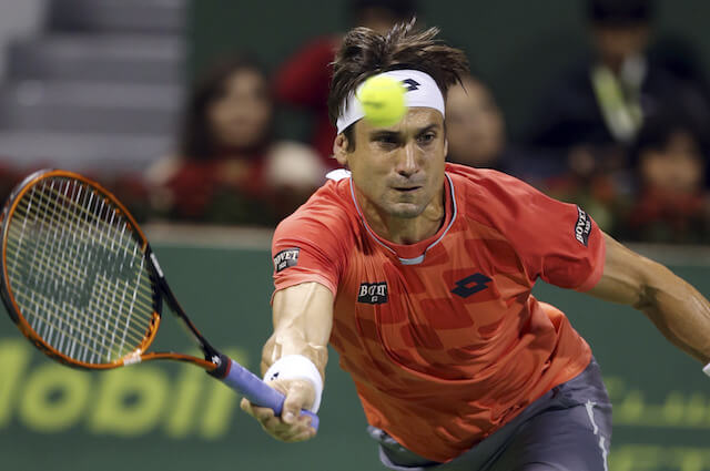 David Ferrer Height and Weight
