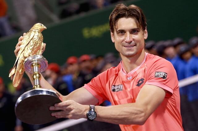 David Ferrer Height and Weight