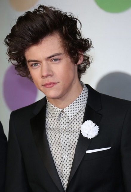 Harry Styles Height and Weight