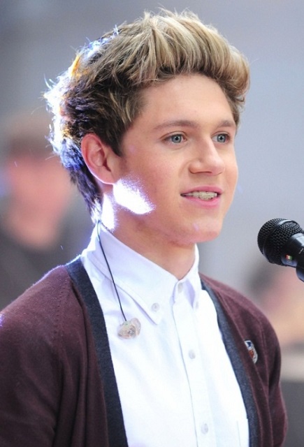 Niall Horan Height and Weight