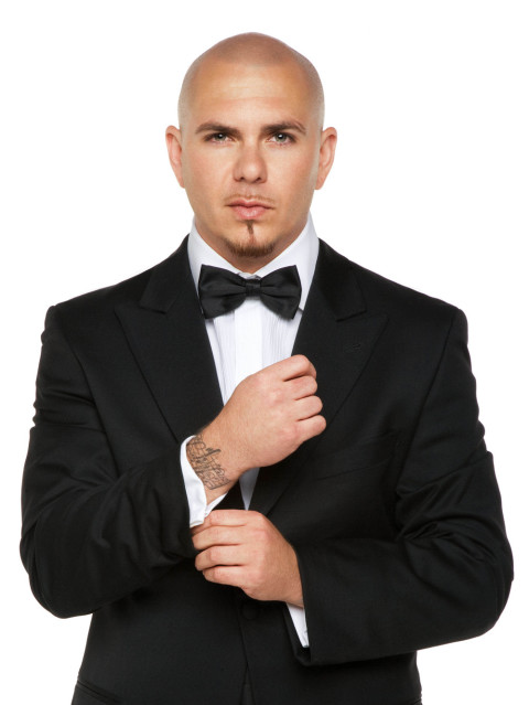 Pitbull Height and Weight