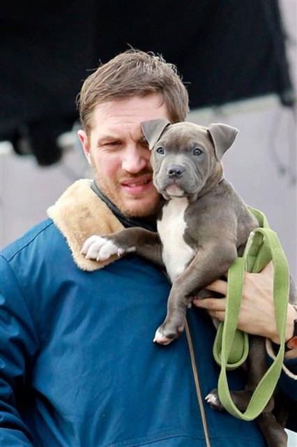 Tom Hardy Height and Weight