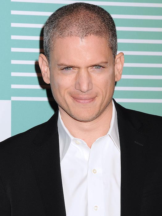 Wentworth Miller Height and Weight